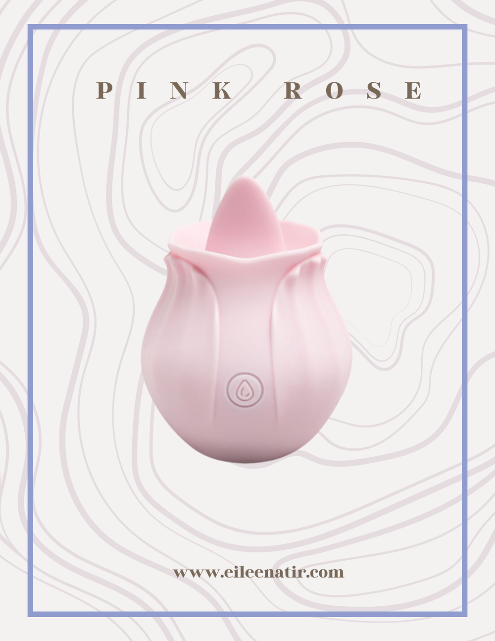 Pink Rose