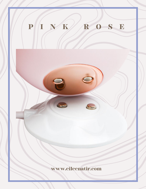 Pink Rose